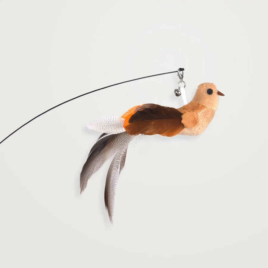 Interaktive Vogelsimulation