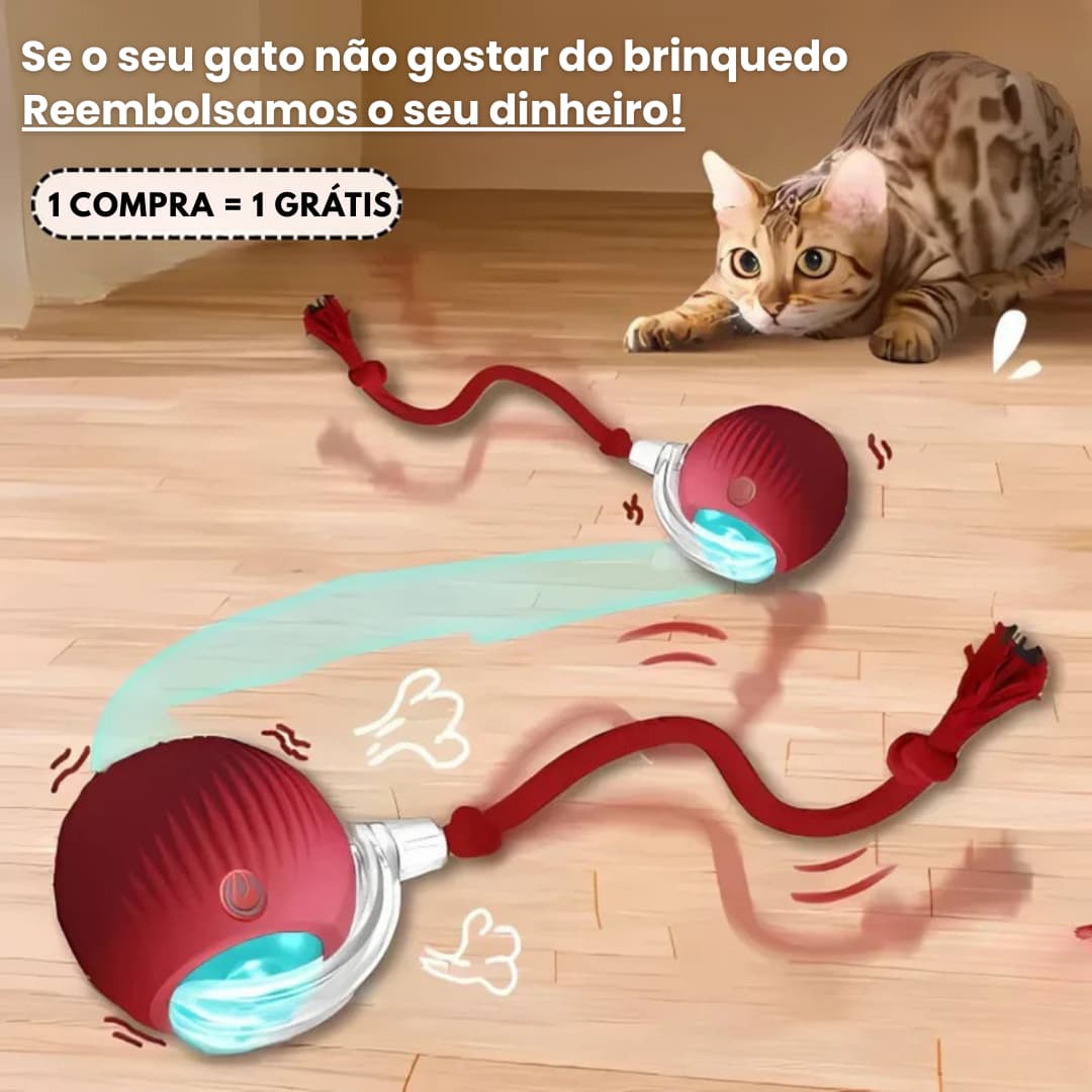 SmartBall – Brinquedo interativo para gatos
