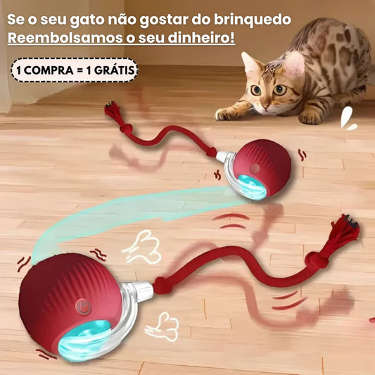 SmartBall – Brinquedo interativo para gatos