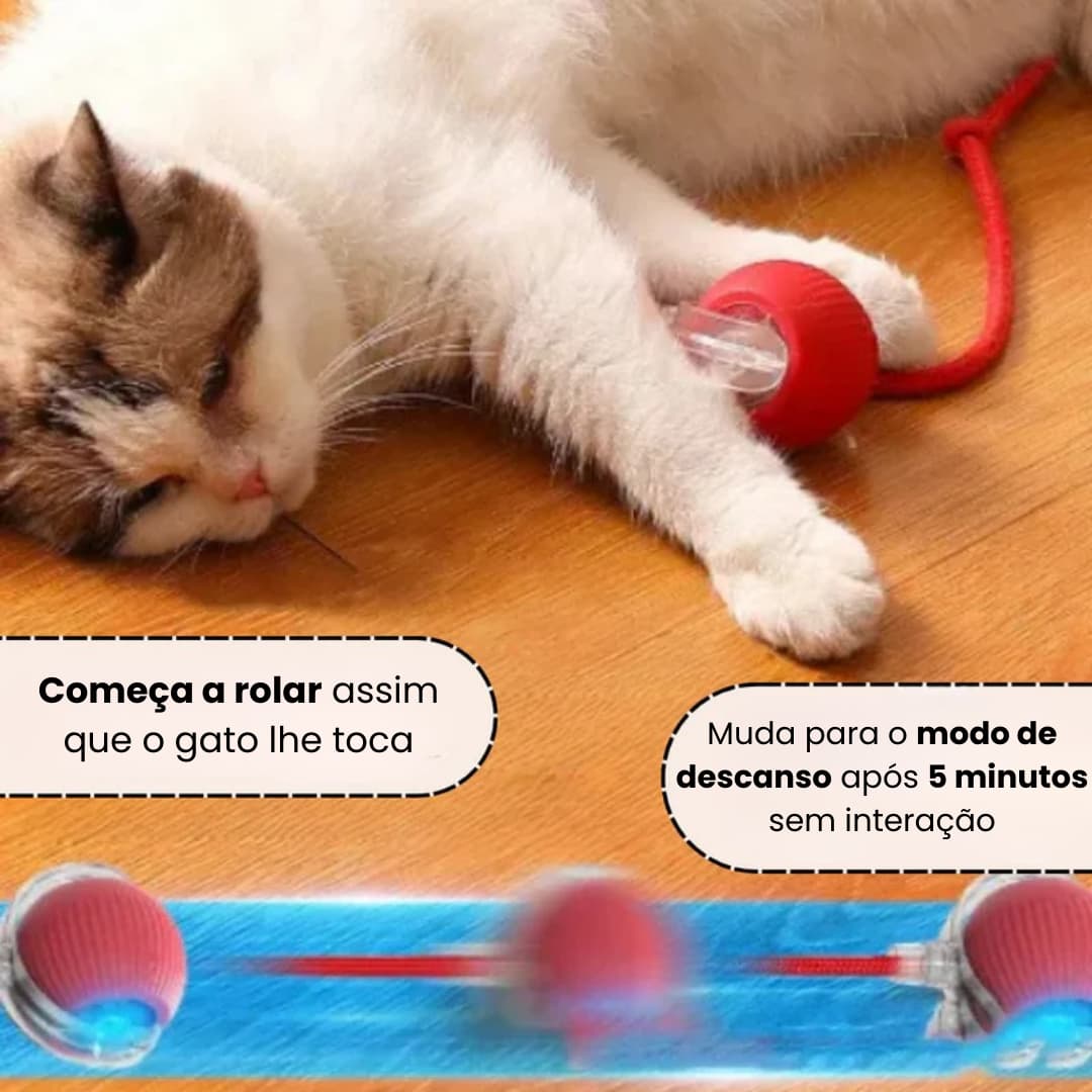 SmartBall – Brinquedo interativo para gatos