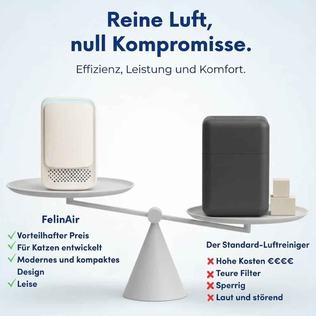 FelinAir