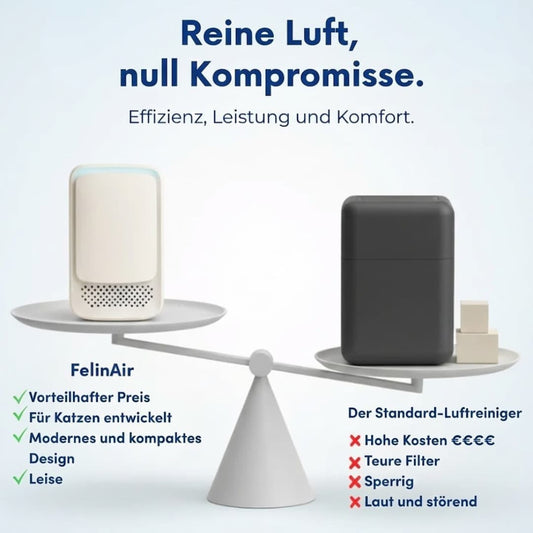 FelinAir