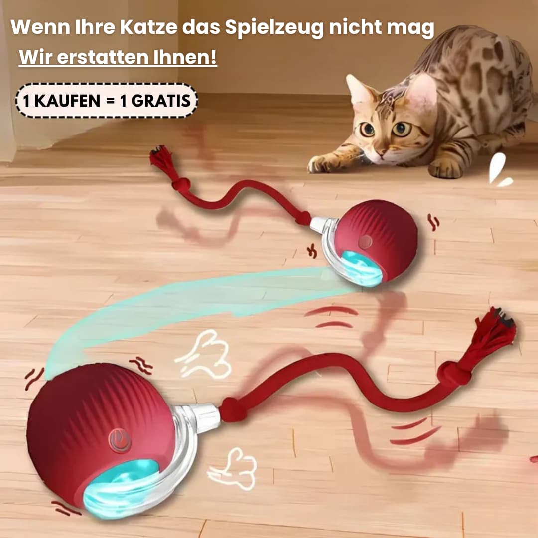 SmartBall - Interaktives Katzenspielzeug