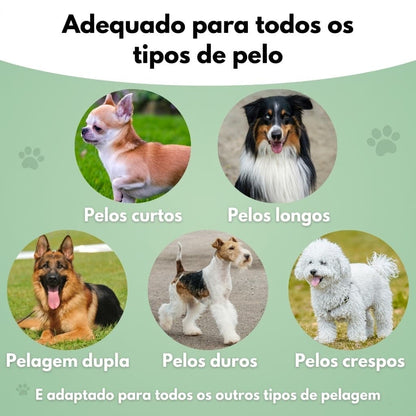 Escova para cães