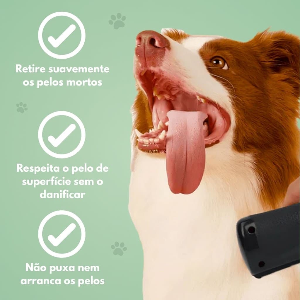 Escova para cães