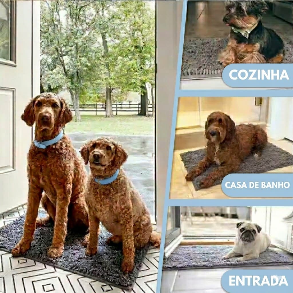 Tapete Limpa Patas