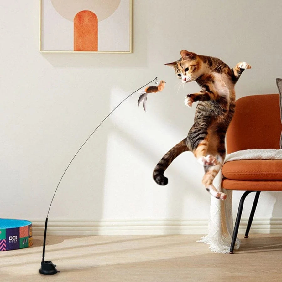 Interaktive Vogelsimulation