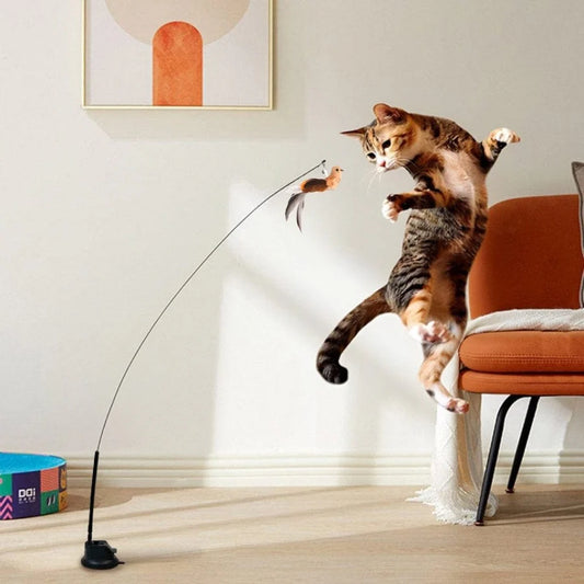 Interaktive Vogelsimulation